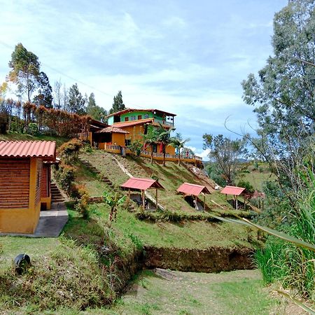 Vista Hermosa Eco Hostal Carmen de Viboral المظهر الخارجي الصورة