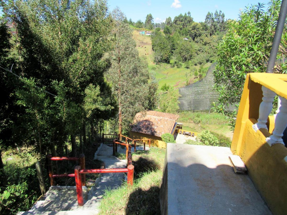 Vista Hermosa Eco Hostal Carmen de Viboral المظهر الخارجي الصورة
