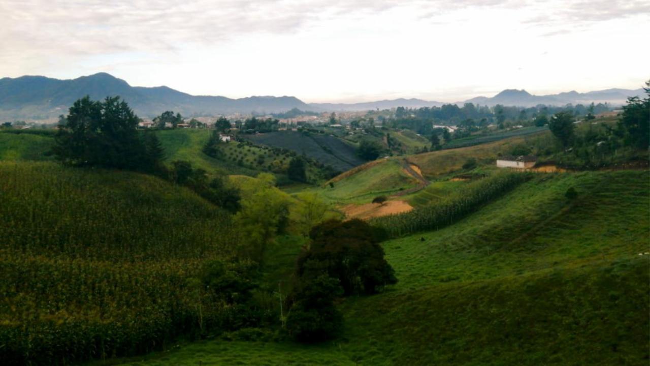 Vista Hermosa Eco Hostal Carmen de Viboral المظهر الخارجي الصورة