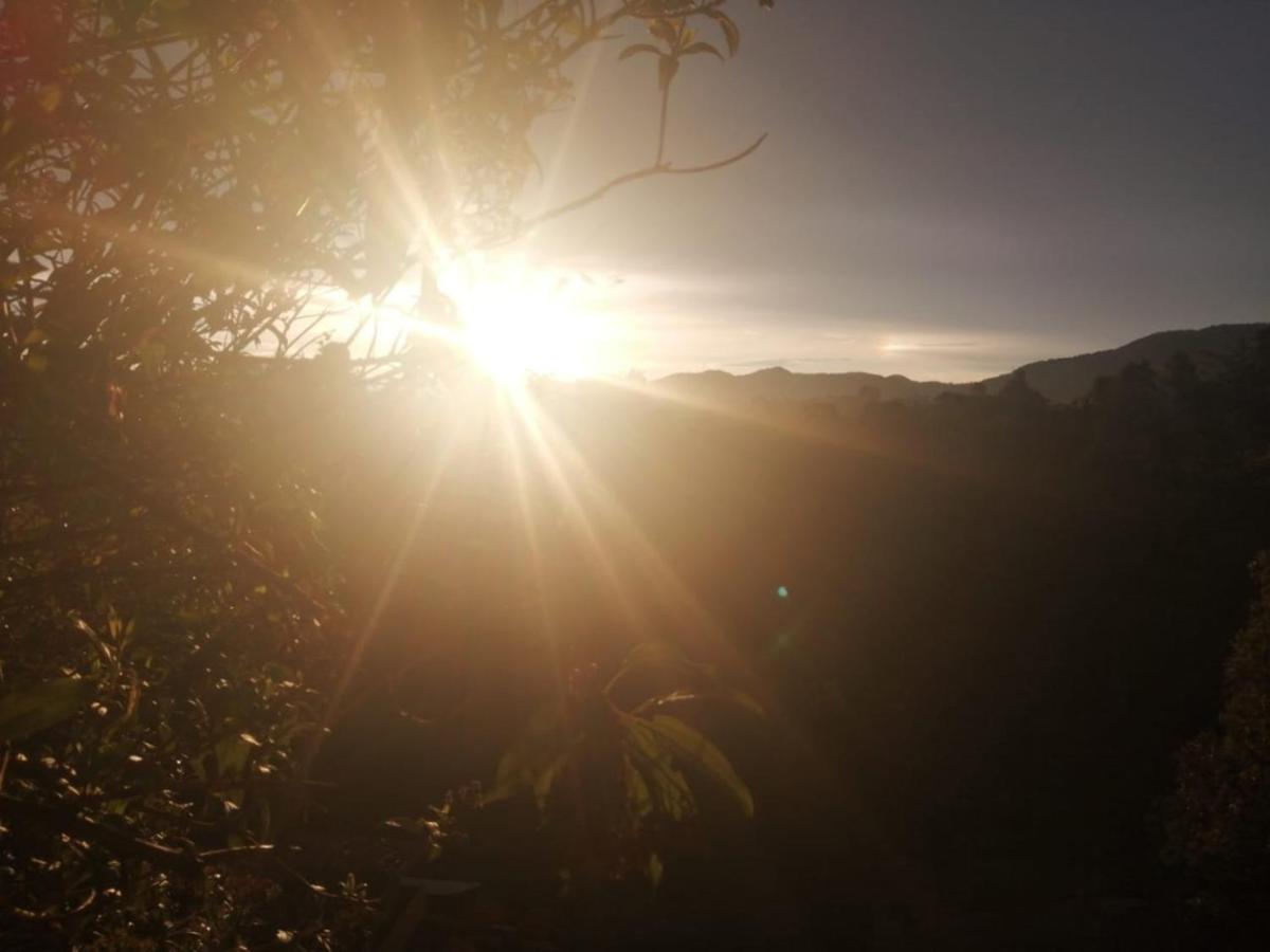 Vista Hermosa Eco Hostal Carmen de Viboral المظهر الخارجي الصورة